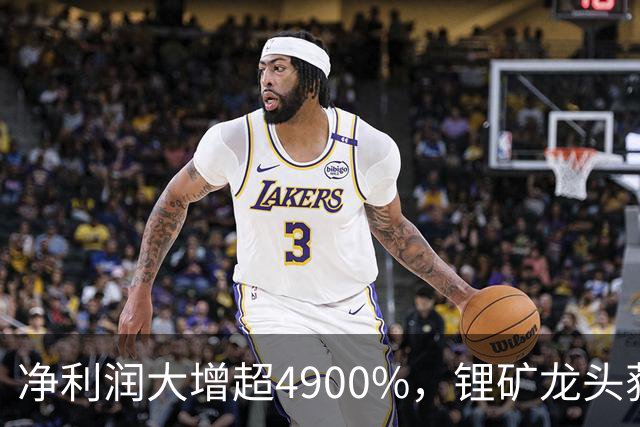 净利润大增超4900%，锂矿龙头获险资新进重仓！20股险资持仓环比翻倍（附名单）